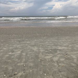 Meet your Posher, Lisha